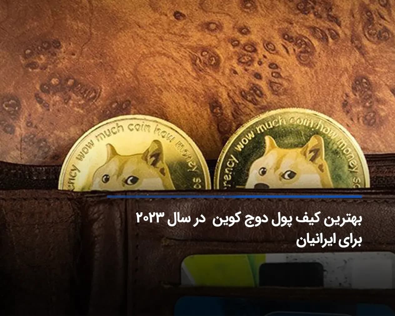 بهترین کیف پول دوج کوین 2025