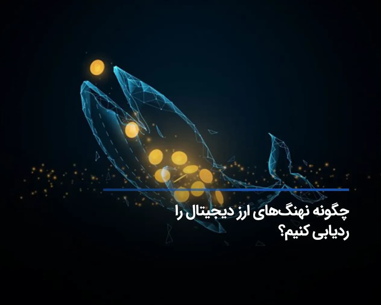 روشهای ردیابی نهنگهای ارز دیجیتال – در کنار ماهیهای بزرگ دریای کریپتو شنا کنید!