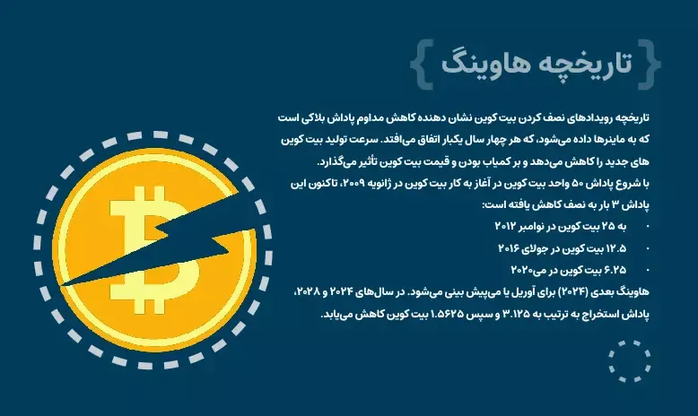 13.webp